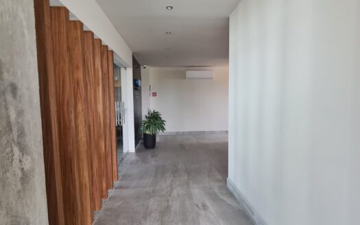 Fluvial Vallarta, Puerto Vallarta